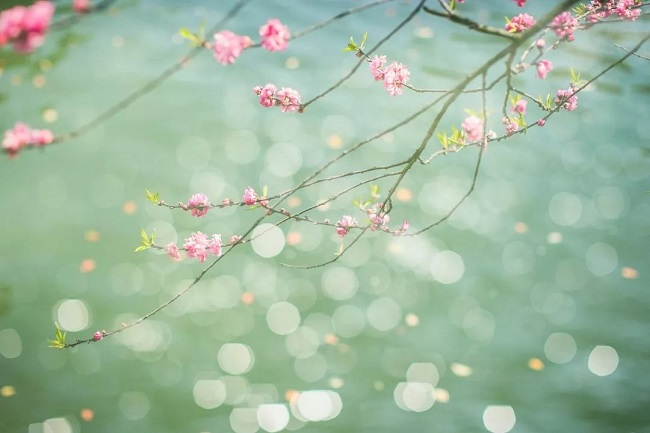 華邦瀛集團(tuán)立春海報(bào)