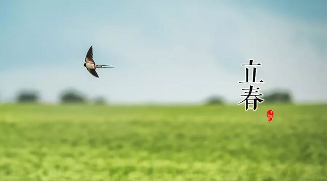 華邦瀛集團(tuán)立春海報(bào)