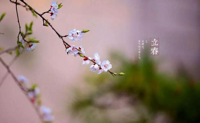 華邦瀛集團(tuán)立春海報(bào)